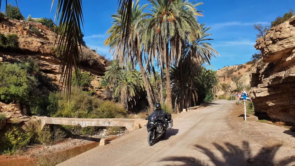 Marokko Motorradtour Palmenstrasse